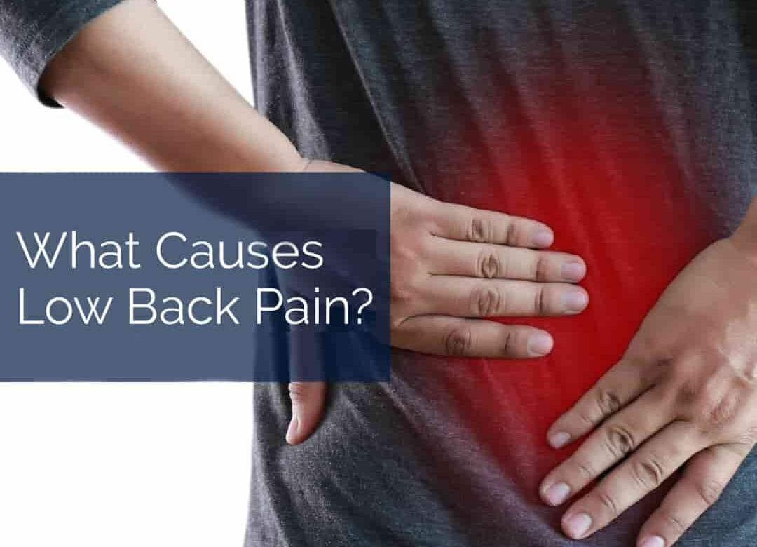 Causes-Low-Back-Pain
