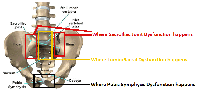 Pelvic Pain during pregnancy