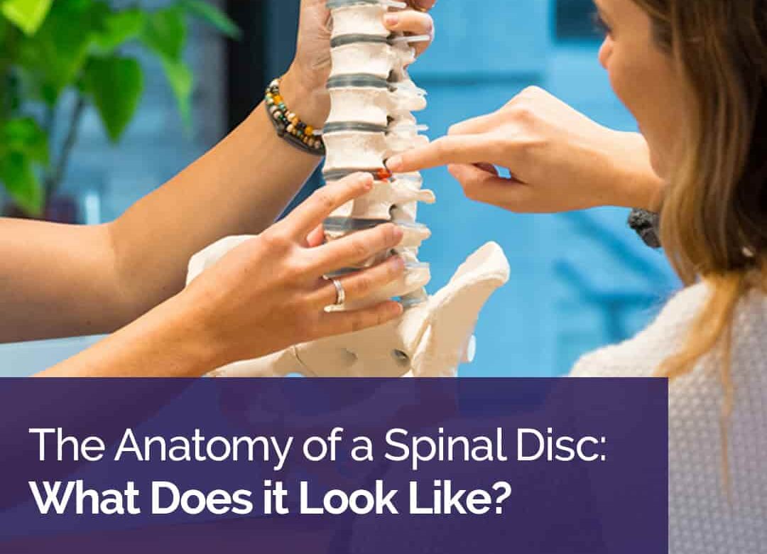 Safeguarding Your Spinal